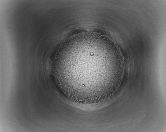 X0000113090030200909041158