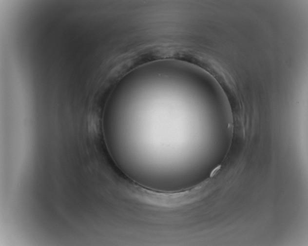 X0000113090035200909041158