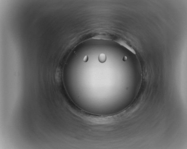X0000113090036200909041158
