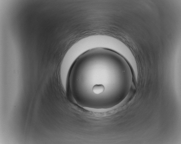 X0000113090037200909041158