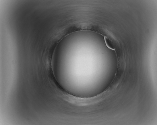 X0000113090039200909041158