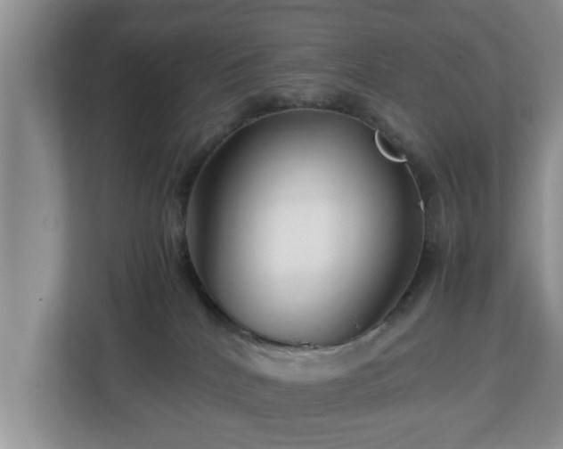 X0000113090040200909041158
