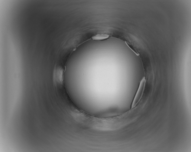 X0000113090041200909041158