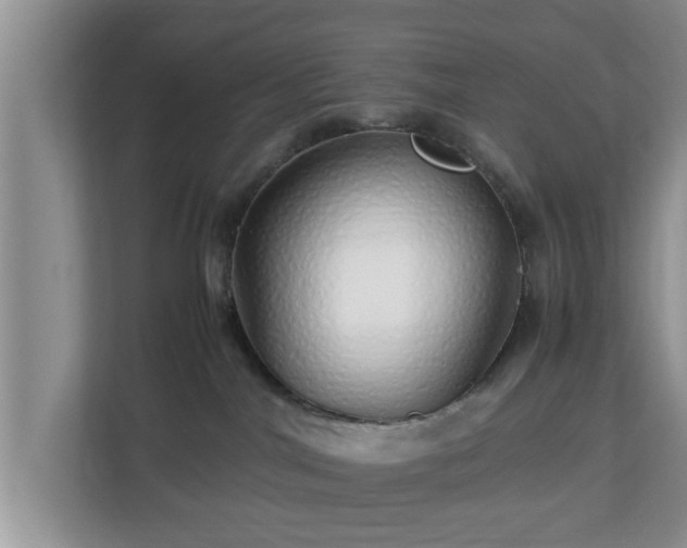X0000113090044200909041158