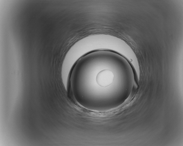 X0000113090045200909041158