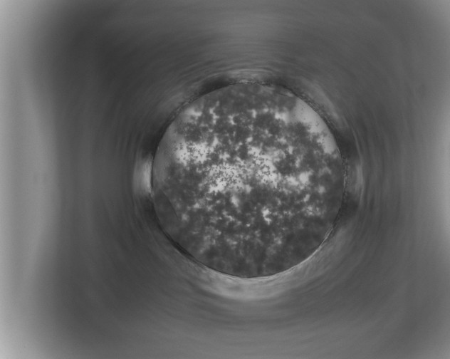 X0000113090047200909041158