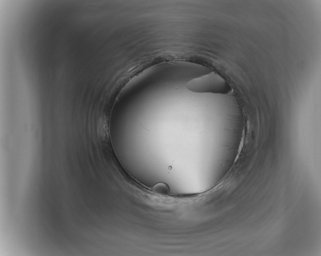 X0000113090048200909041158