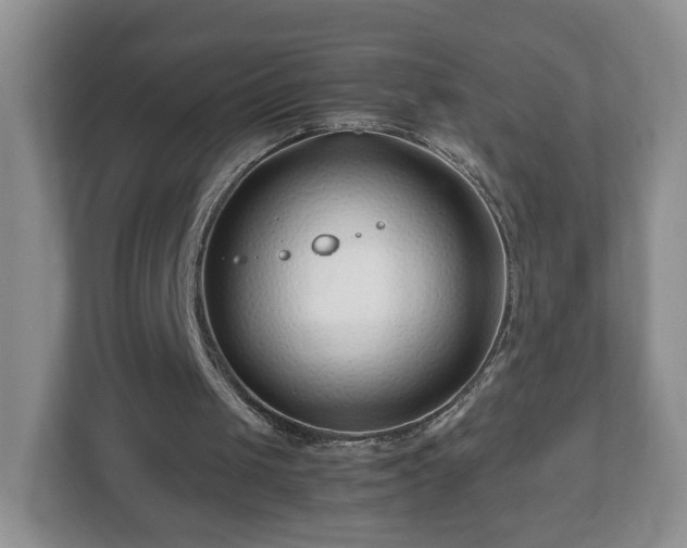 X0000113090049200909041157
