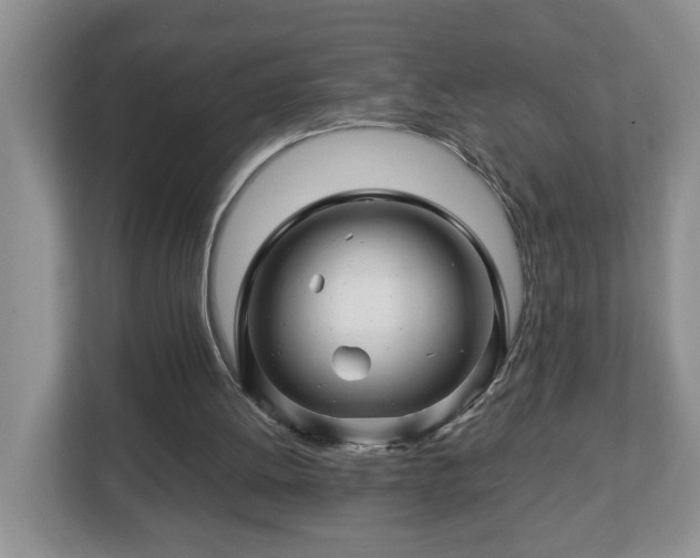 X0000113090052200909041157