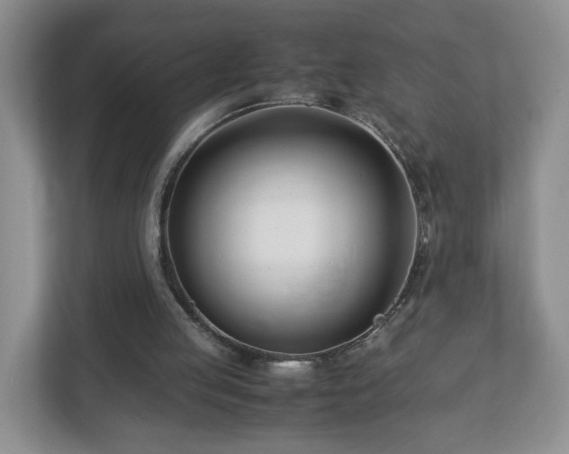 X0000113090053200909041157