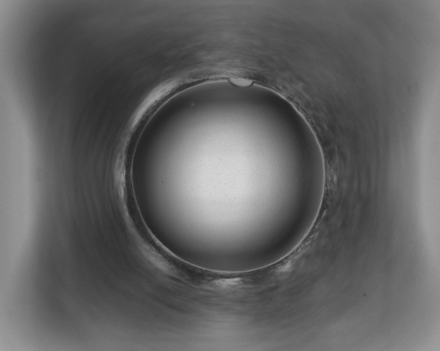 X0000113090054200909041157