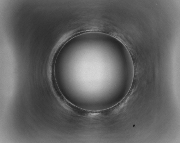 X0000113090055200909041157