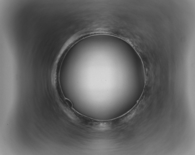 X0000113090056200909041157