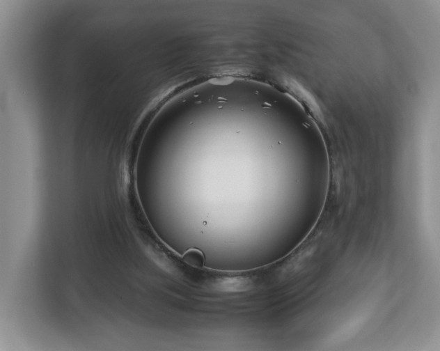 X0000113090059200909041157