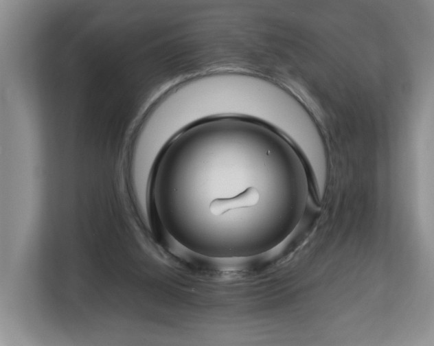 X0000113090060200909041157