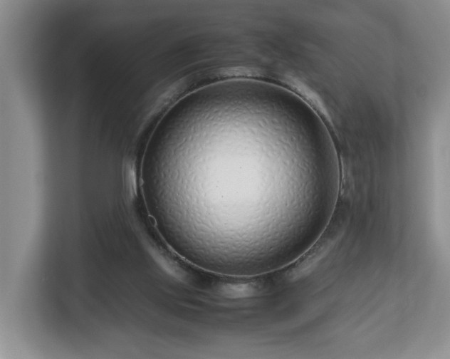 X0000113090061200909041157