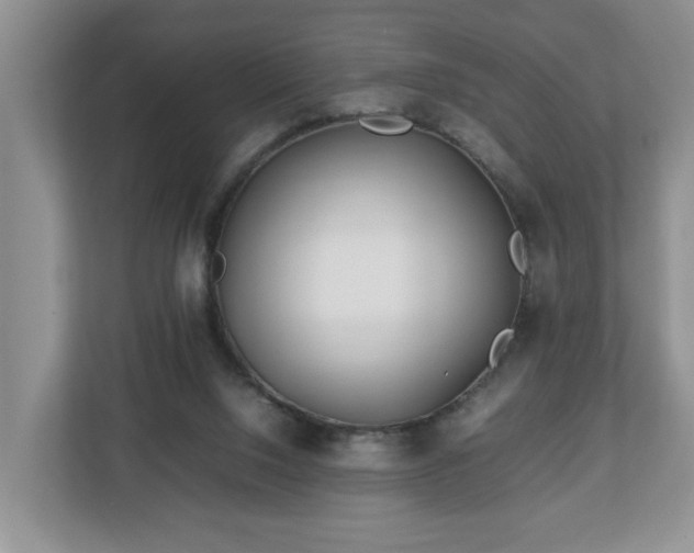 X0000113090064200909041157