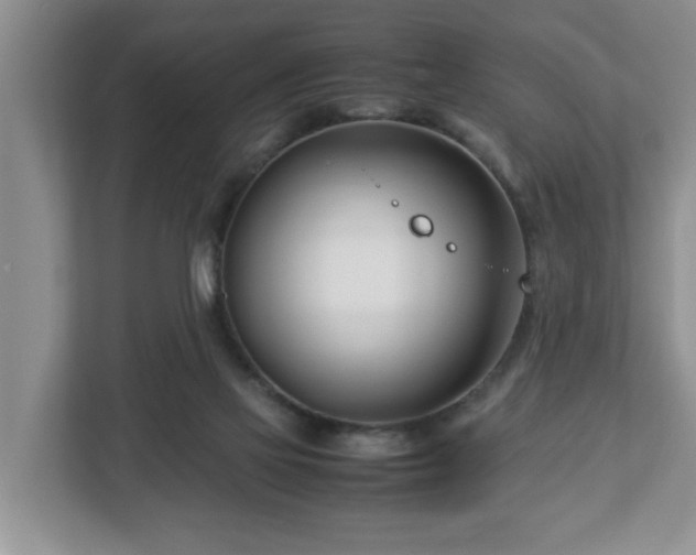 X0000113090069200909041157