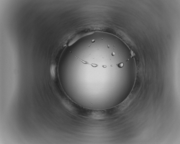 X0000113090070200909041157