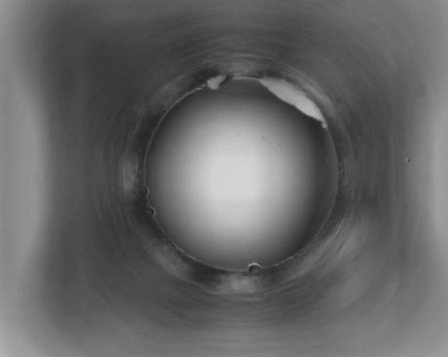 X0000113090073200909041157