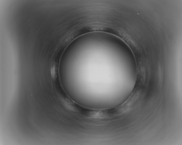 X0000113090074200909041157