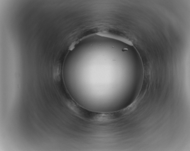 X0000113090082200909041158