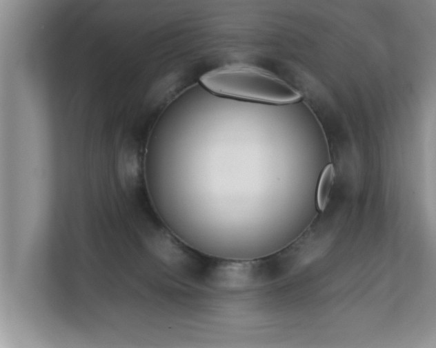 X0000113090084200909041158