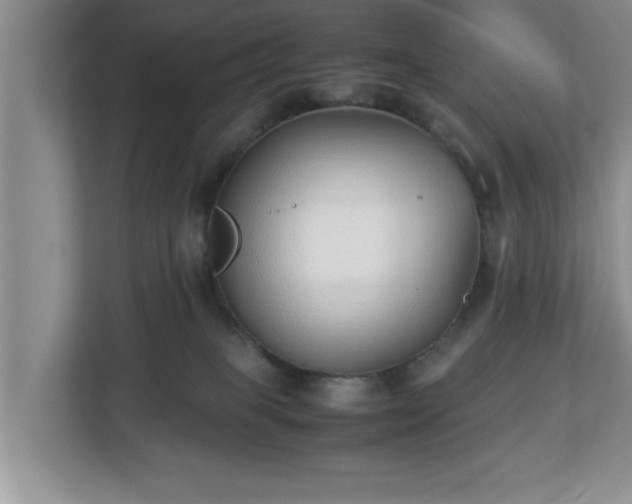 X0000113090085200909041158