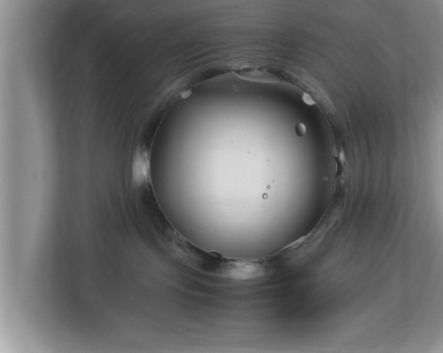 X0000113090095200909041158