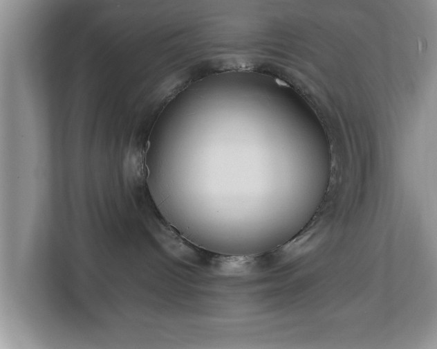 X0000113090096200909041158