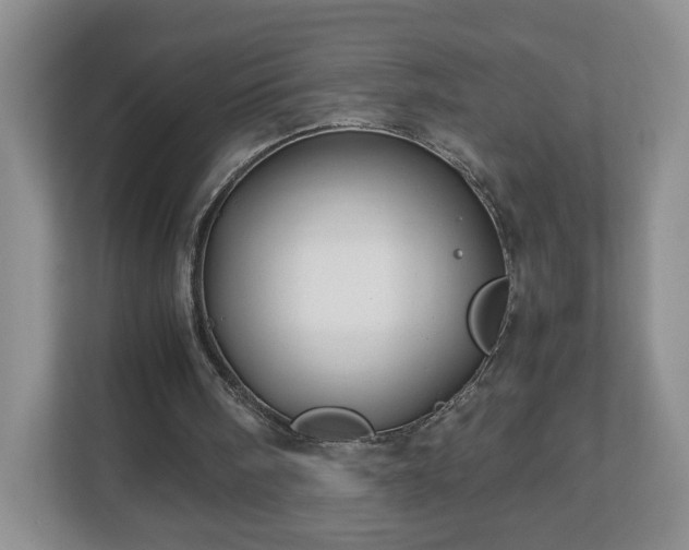 X0000113090098200909041157