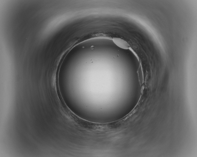 X0000113090099200909041157