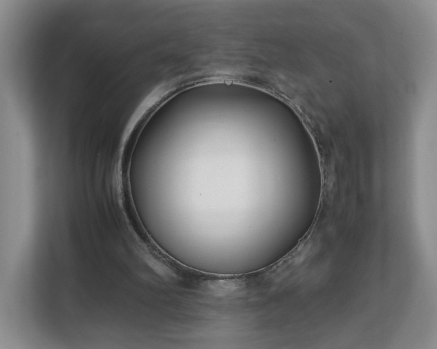 X0000113090102200909041157