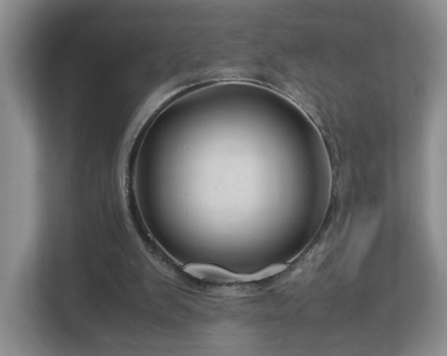 X0000113090103200909041157