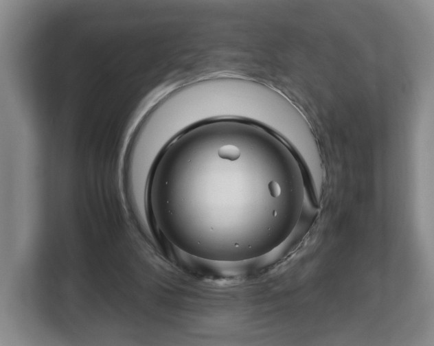X0000113090104200909041157
