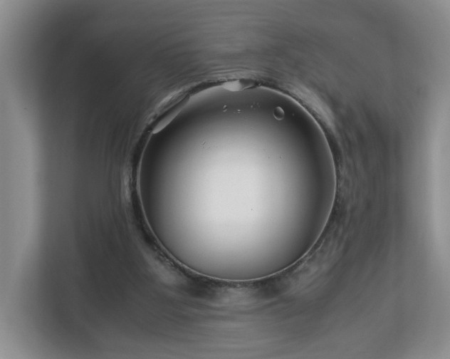 X0000113090107200909041157