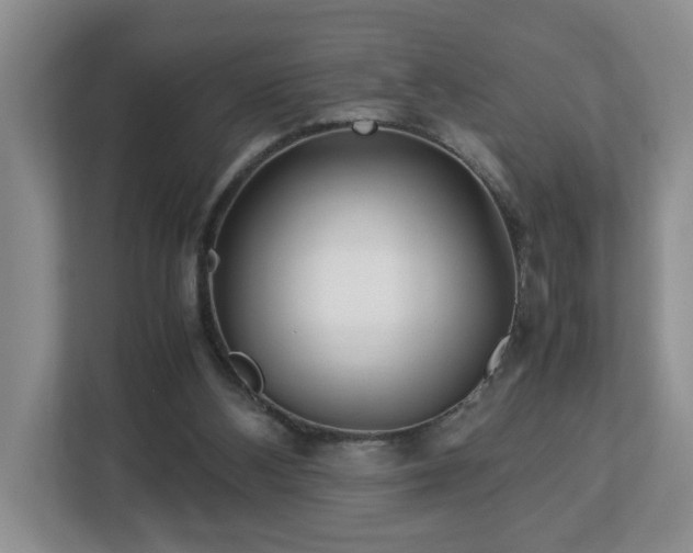 X0000113090108200909041157