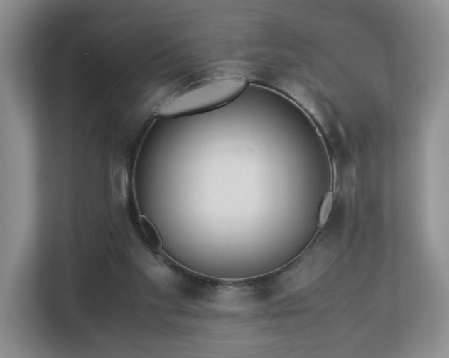 X0000113090109200909041157