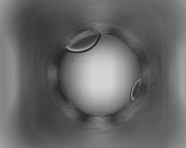 X0000113090121200909041157