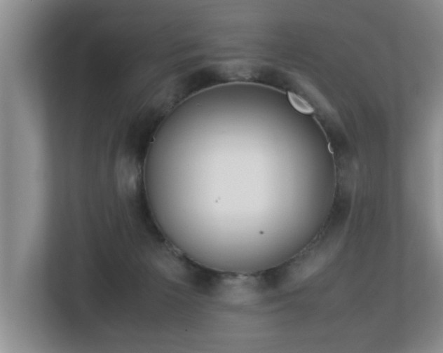 X0000113090125200909041157