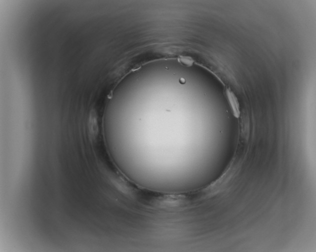X0000113090128200909041157