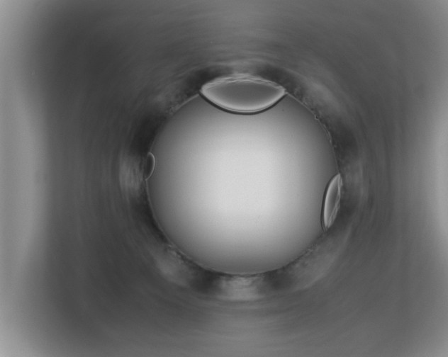 X0000113090129200909041157