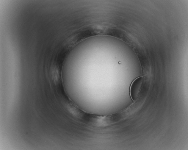 X0000113090130200909041157