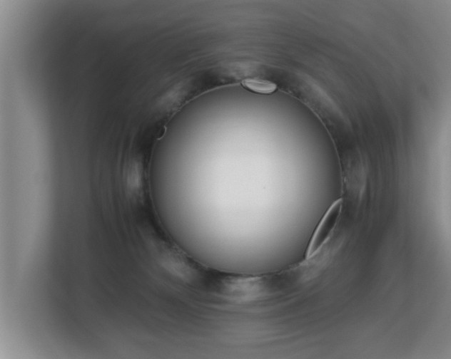 X0000113090132200909041157