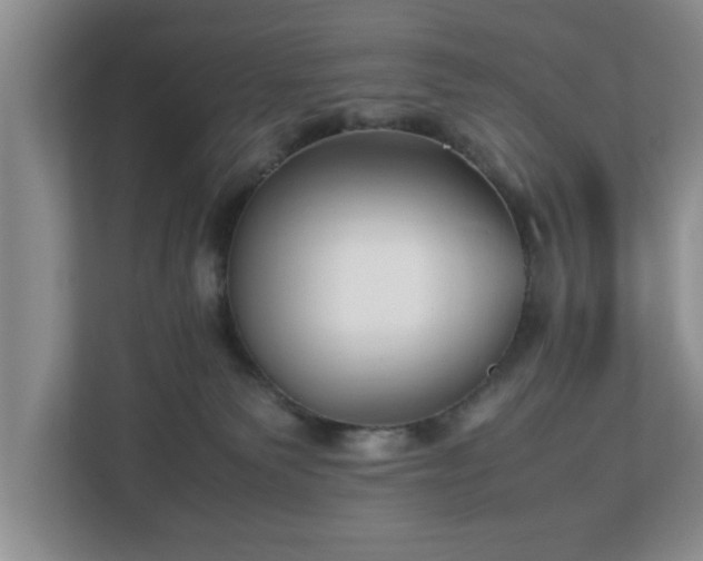 X0000113090135200909041157