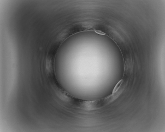 X0000113090136200909041157