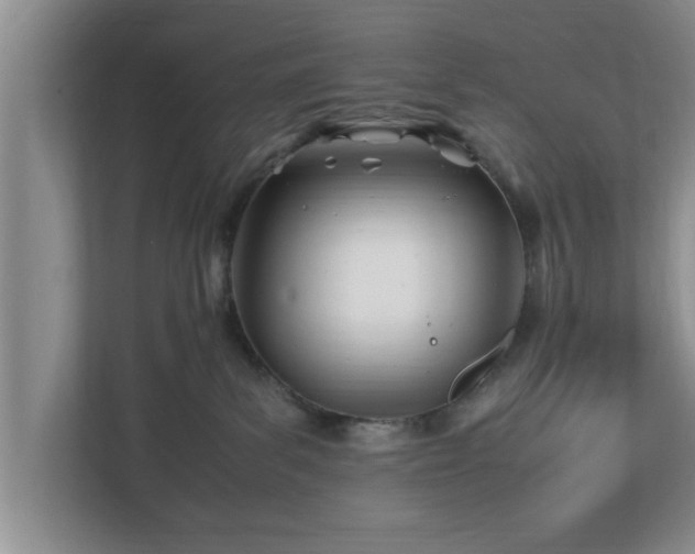 X0000113090139200909041157