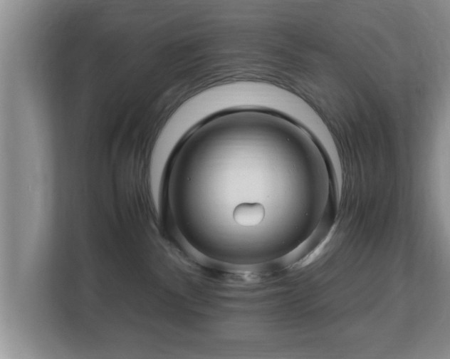 X0000113090140200909041157