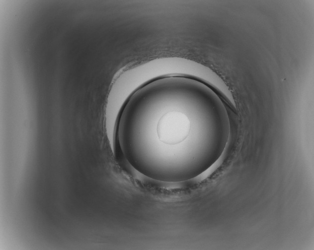 X0000113090144200909041156