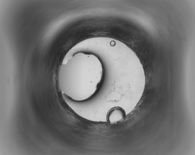 X0000113090146200909041156